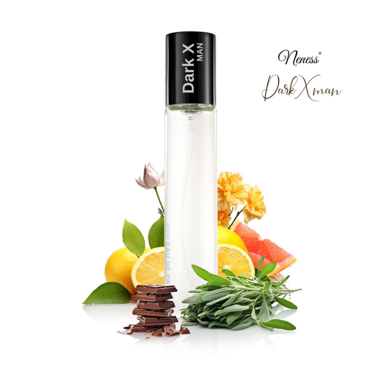 N173. Neness Black X | Podobne nuty: Paco Rabanne Black Xs | 33 ml | Perfumetki Męskie | Francuskie Perfumy Lane