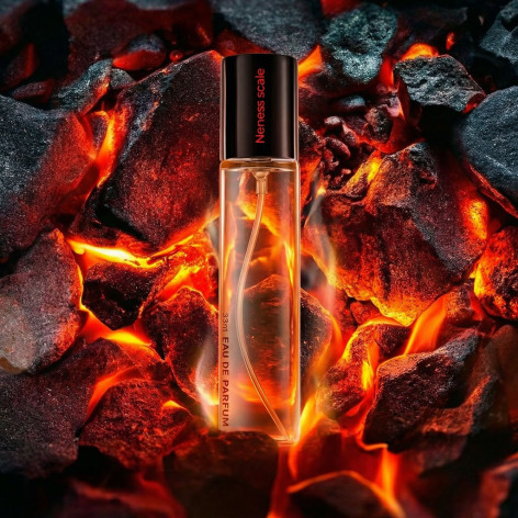 N115. Neness Scale | Podobne nuty: Christian Dior Fahrenheit | 33 ml | Perfumetki Męskie | Francuskie Perfumy Lane