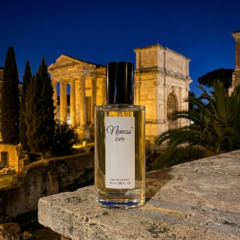 N289. Neness Zafir | Podobne nuty: Valentino Born In Roma Uomo | 50 ml | Perfumetki Męskie | Francuskie Perfumy Lane