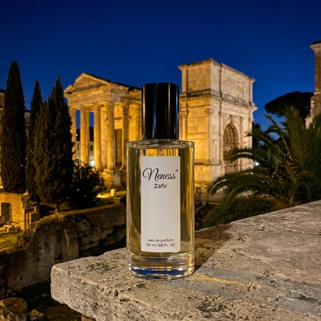 N289. Neness Zafir | Podobne nuty: Valentino Born In Roma Uomo | 50 ml | Perfumetki Męskie | Francuskie Perfumy Lane