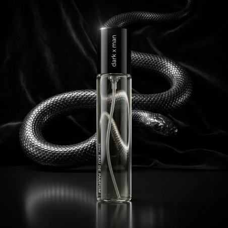 N173. Neness Dark X | Podobne nuty: Paco Rabanne Black Xs | 33 ml | Perfumetki Męskie | Francuskie Perfumy Lane