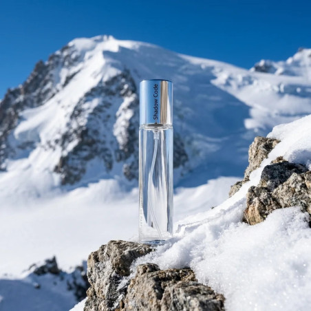 N380. Neness Shadow Code | Podobne nuty: Montblanc Legend Spirit | 33 ml | Perfumetki Damskie | Francuskie Perfumy Lane