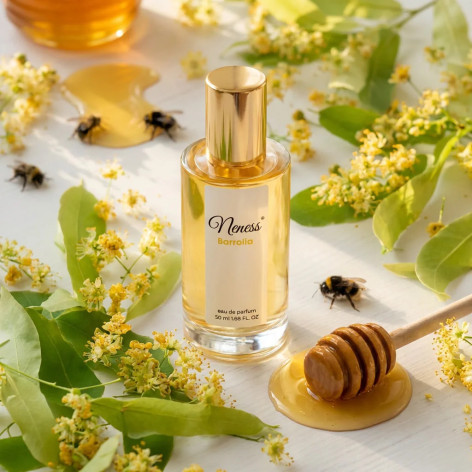 N441. Neness Barrolia | Podobne nuty: Marc-Antoine...