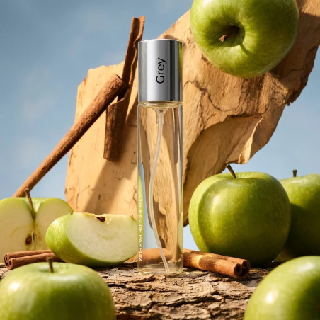 N025. Neness Grey | Podobne nuty: Hugo Boss Bottled Men | 33 ml | Perfumetki Męskie | Francuskie Perfumy Lane