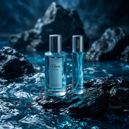 N059. Neness Renzo - Zestaw 1+1: 50 ml + 33 ml | Podobne nuty: Coco Chanel Bleu De Chanel | Perfumy Męskie | Francuskie P