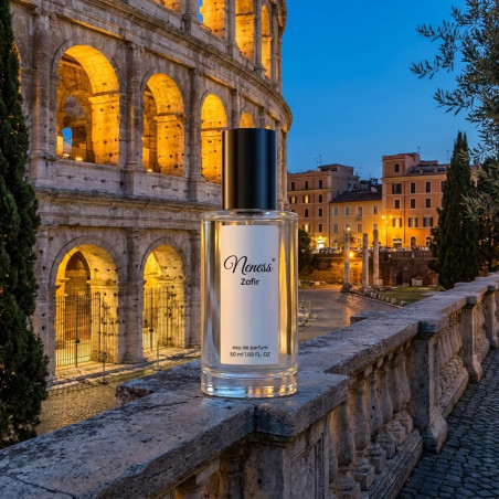N289. Neness Zafir | Podobne nuty: Valentino Born In Roma Uomo | 50 ml | Perfumetki Męskie | Francuskie Perfumy Lane