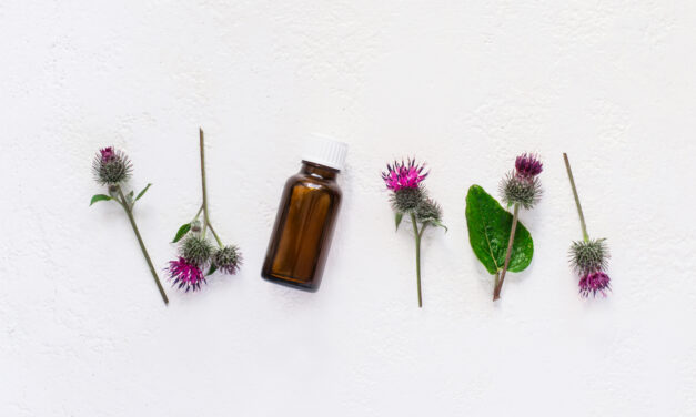 Olejek łopianowy – właściwości i zastosowanie w kosmetyce