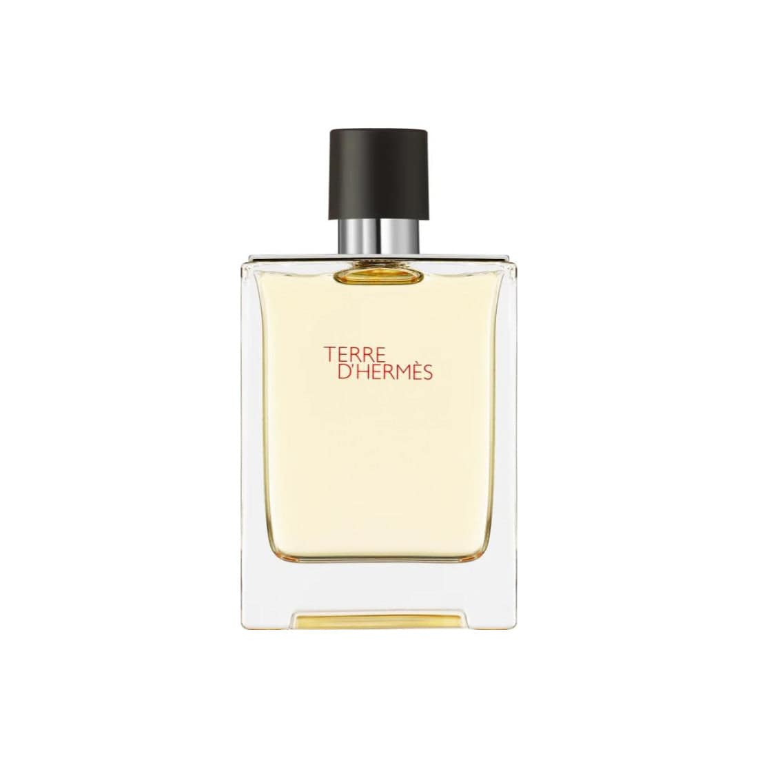Hermes Terre D'Hermes 75 ml - dla mężczyzn 75 ml