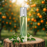 N065 - Lira Zano 33 ml - zamiennik Coco Chanel Chance Eau Fraiche