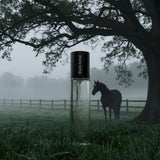 N122 - Black Horse 33 ml - zamiennik Ferrari Scuderia Black