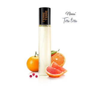 N133 - T'erre T'erre 33 ml - zamiennik Hermes Terre D'Hermes
