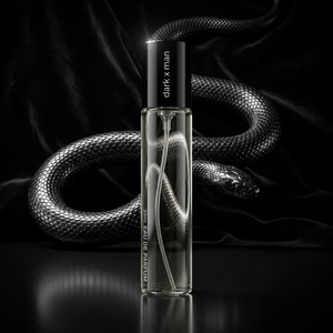 N173 - Dark X 33 ml - zamiennik Paco Rabanne Black Xs