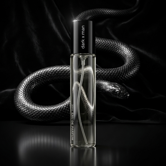 N173 - Dark X 33 ml - zamiennik Paco Rabanne Black Xs