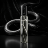 N173 - Dark X 33 ml - zamiennik Paco Rabanne Black Xs